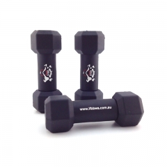 Dumbbell USB