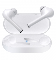 TWS Earbuds