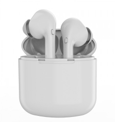 TWS Earbuds